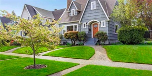 维护良好的住宅院子与绿色的草.
