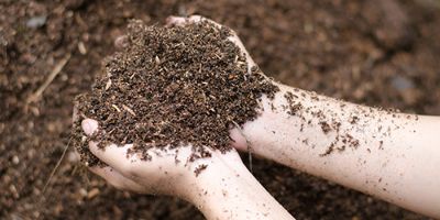 benefits of composting