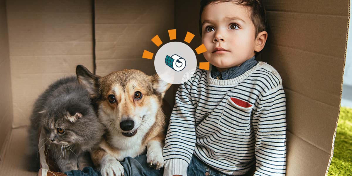 A toddler, dog and cat sit in a cardboard box on green carpet.