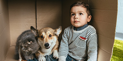 A toddler, dog and cat sit in a cardboard box on green carpet.