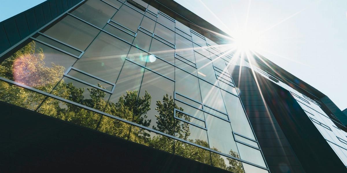business sustainability