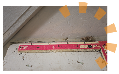 Close-up of old carpet tack strips with exposed nails.