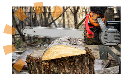  A chainsaw cutting a piece of tree stump for removal.