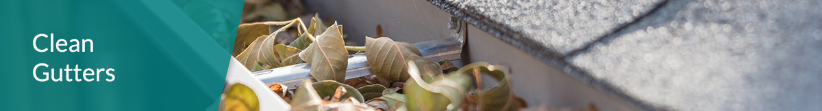 Leaves clog gutters on rental property.