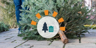 A man in pants and a coat dragging an old Christmas tree to be thrown away. 