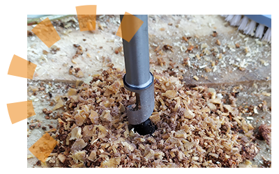 Homeowner drilling holes into tree stump to remove it with chemicals.