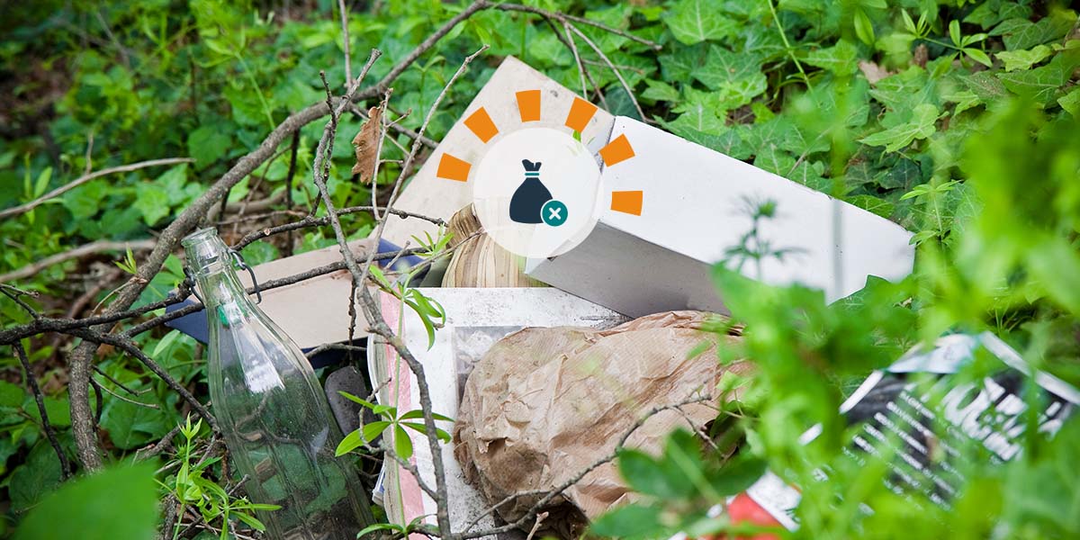 How Illegal Dumping Affects Your Local Environment | Dumpsters.com