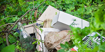 A pile of garbage contaminating the woods from illegal dumping. 