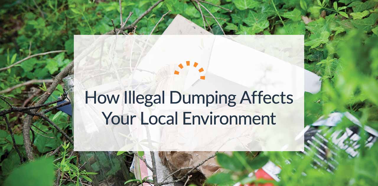 How Illegal Dumping Affects Your Local Environment