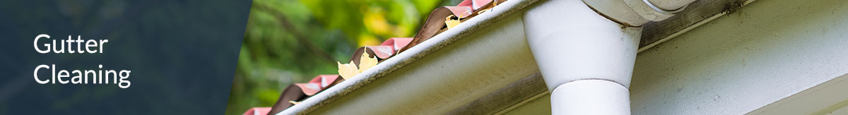 Banner image of a gutter filled with fallen leaves.