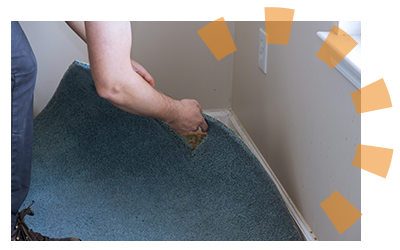 Carpet Removal (Gripper) 