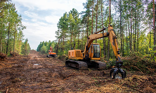 Excavators clearing a large patch of land. 