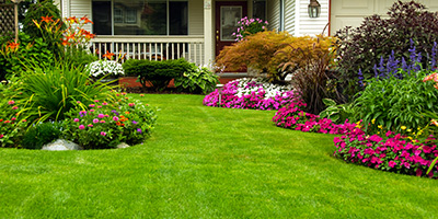 A well-manicured lawn with flowers, bushes and small shrubbery for landscaping accents.