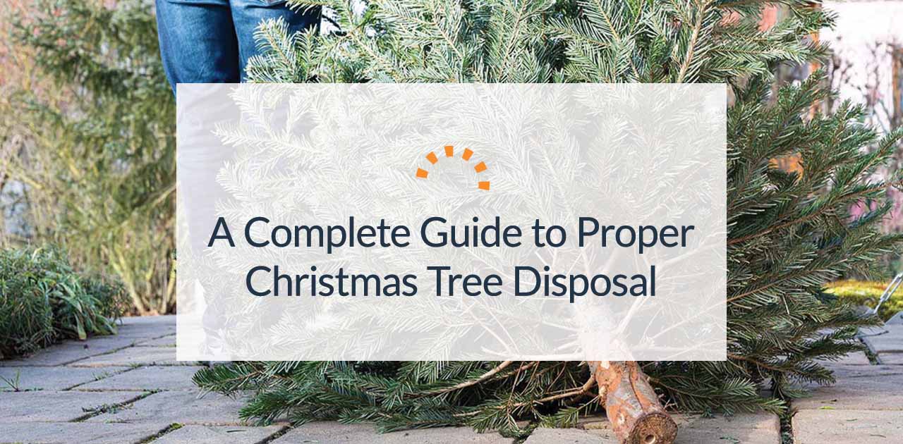 How to Dispose of a Christmas Tree