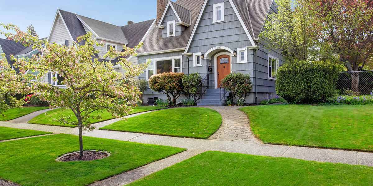 Yard Cleanup And Maintenance Guide, Year Round Landscaping