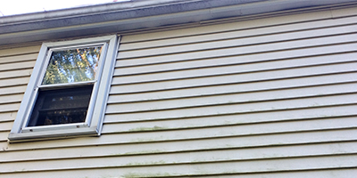 Old vinyl siding with dirt and mold ready for removal.