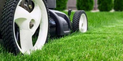 Mower Cutting Lawn