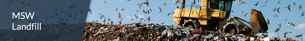 Flock of seagulls flying over a municipal solid waste landfill truck sitting on a mound of trash.