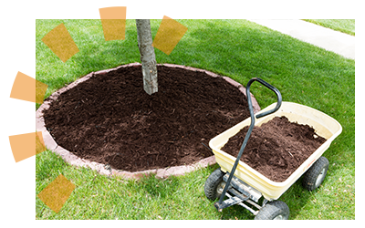 Newly placed mulch around a tree and in a wagon.