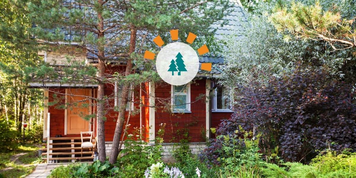 Residential property with red house and overgrown trees that need trimming and pruning in front yard.