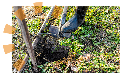 Person digging a hole.