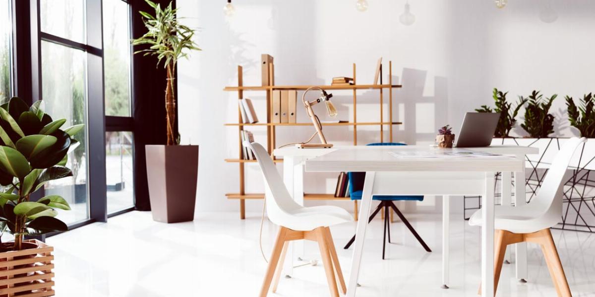 Remodeled office with natural light.