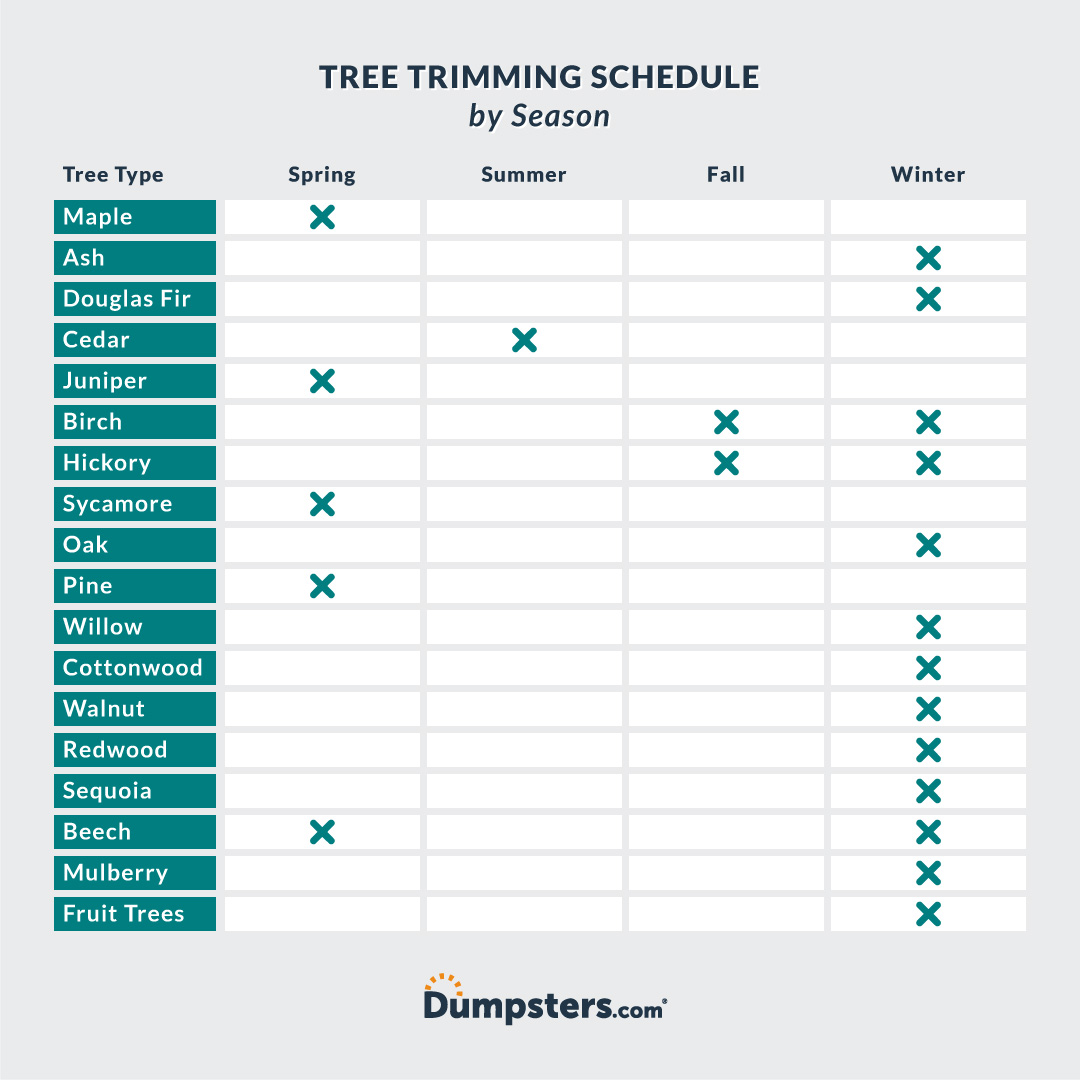 Seasonal prune trees infographic.
