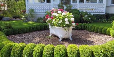 Redo Landscaping