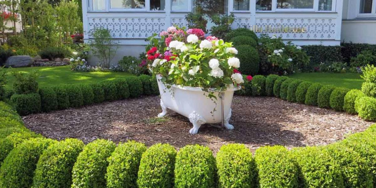 How To Redo Your Landscaping From Scratch Dumpsters Com