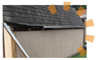 Removing shed roof and shingles.