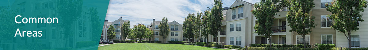 Rental property complex common area, well-manicured lawn. 