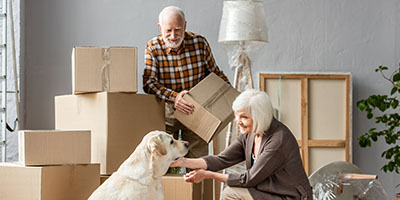 Senior couple Swedish death cleaning surrounded by cardboard boxes and their dog.