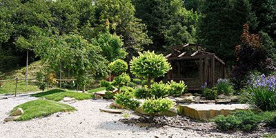 Sustainable Landscaping