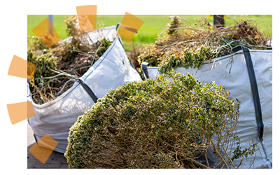 Green bags filled with yard waste to be disposed of after clearing land. 