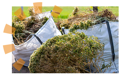 Green bags filled with yard waste to be disposed of after clearing land.