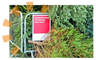 Christmas trees collected near a red sign that says 