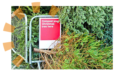 Christmas trees collected near a red sign that says "Compost your Christmas tree here."
