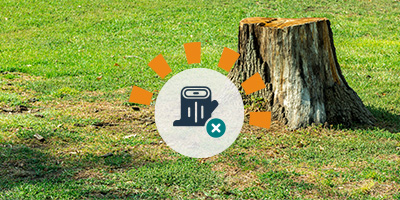 Tree stump to be removed in the middle of a homeowner's yard.