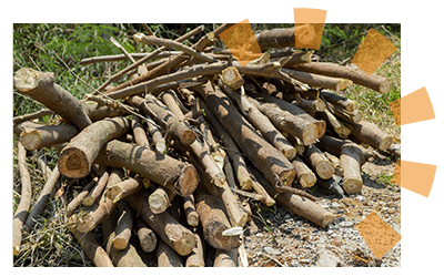 Trimmed tree branches pile in homeowner lawn that need to be tossed, donated or recycled.