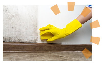 A person in gloves cleaning dirt off their garage walls with a sponge. 