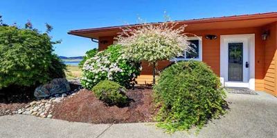 A xeriscape front yard featuring heavy hardscape use along with much and water conserving plants.