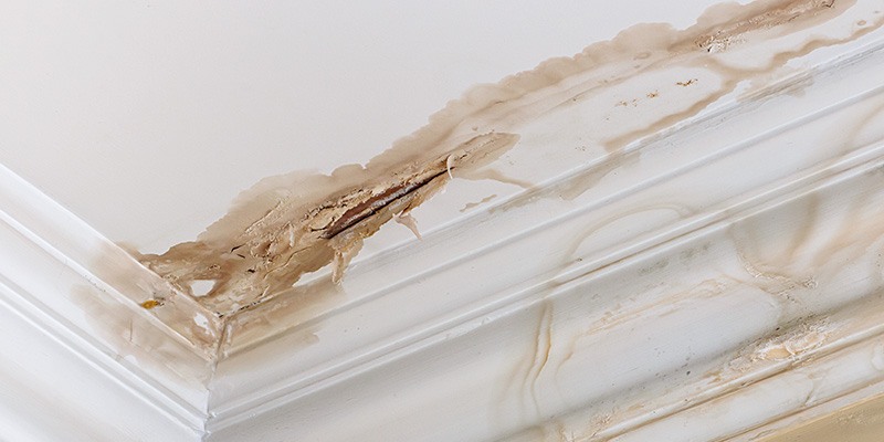 Water Damage From a Leak on a Ceiling and Wall.