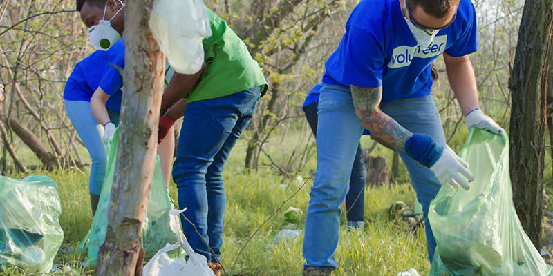 A Group of People Pick Up Trash in the Woods.