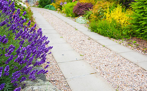 Rock and gravel repurposed for landscaping project path.