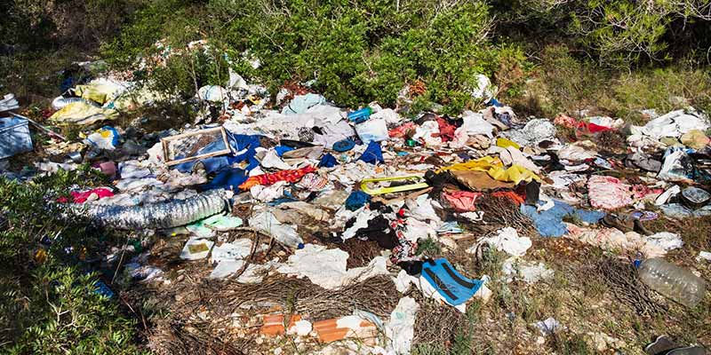 An Illegal Dump Site in a Wooded Area.