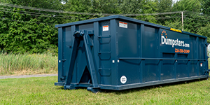 A Blue Dumpsters.com Roll Off Dumpster in a Yard.