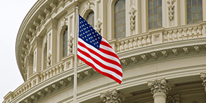 Flag Flying Outside of a Government Building