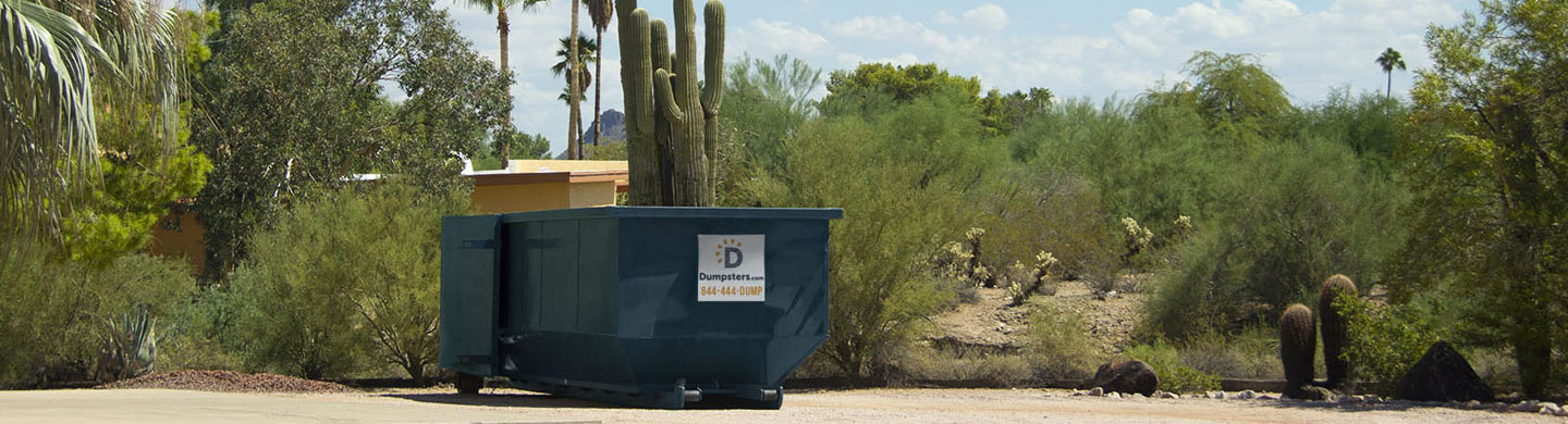 A Roll Off Dumpster in a Parking Lot next to Cacti and Bushes.