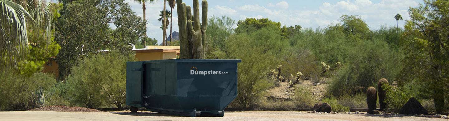 Roll Off Dumpster in Parking Lot Next to Cacti and Shrubs.