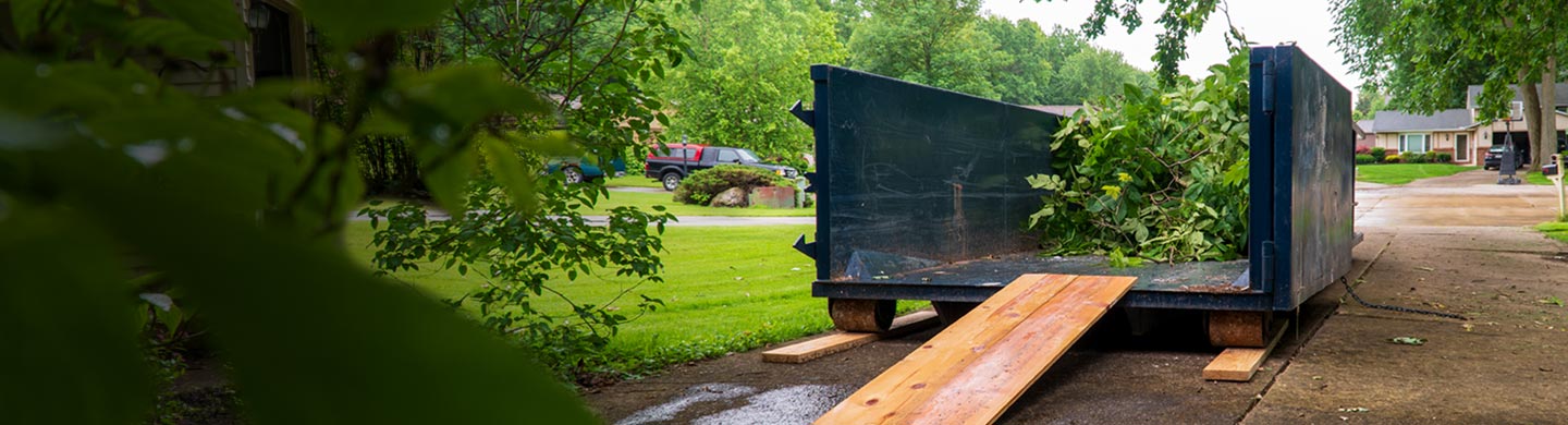 Waste Removal System